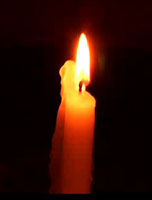 Heart Beats Light